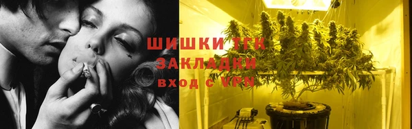 2c-b Гусев