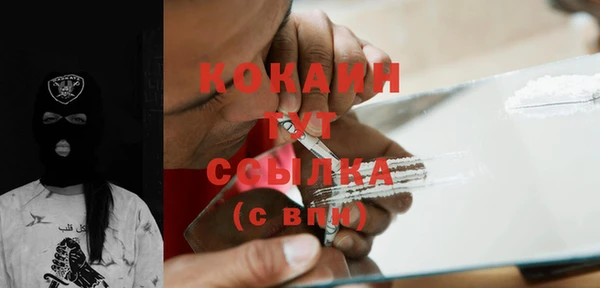 2c-b Гусев
