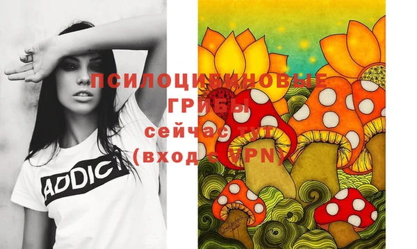 2c-b Гусев