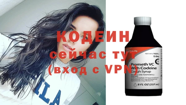 2c-b Гусев
