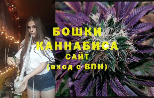 2c-b Гусев